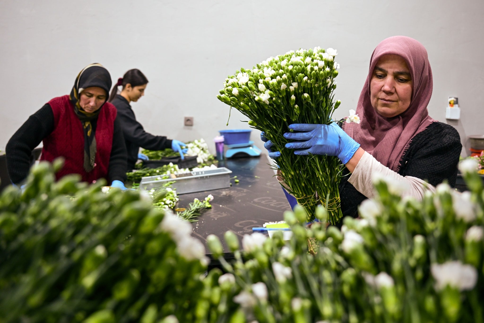 Yılbaşı bereketi çiçek açtı: 35 ülkeye 12 milyon dolarlık ihracat