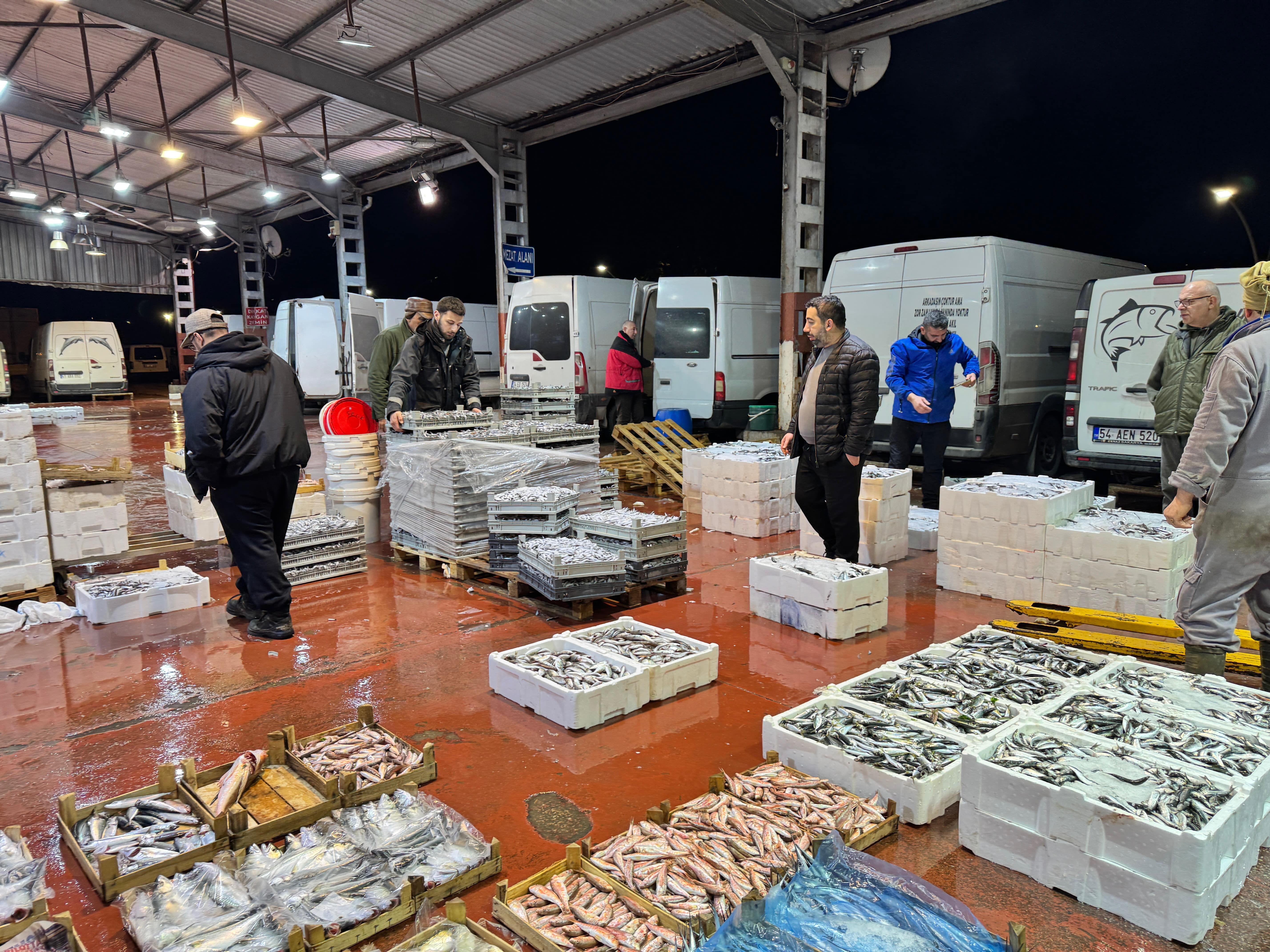 Her üç kişiden biri o balığı yedi: 3,5 ayda satılan 34 bin ton balığın yarısı tek bir türden