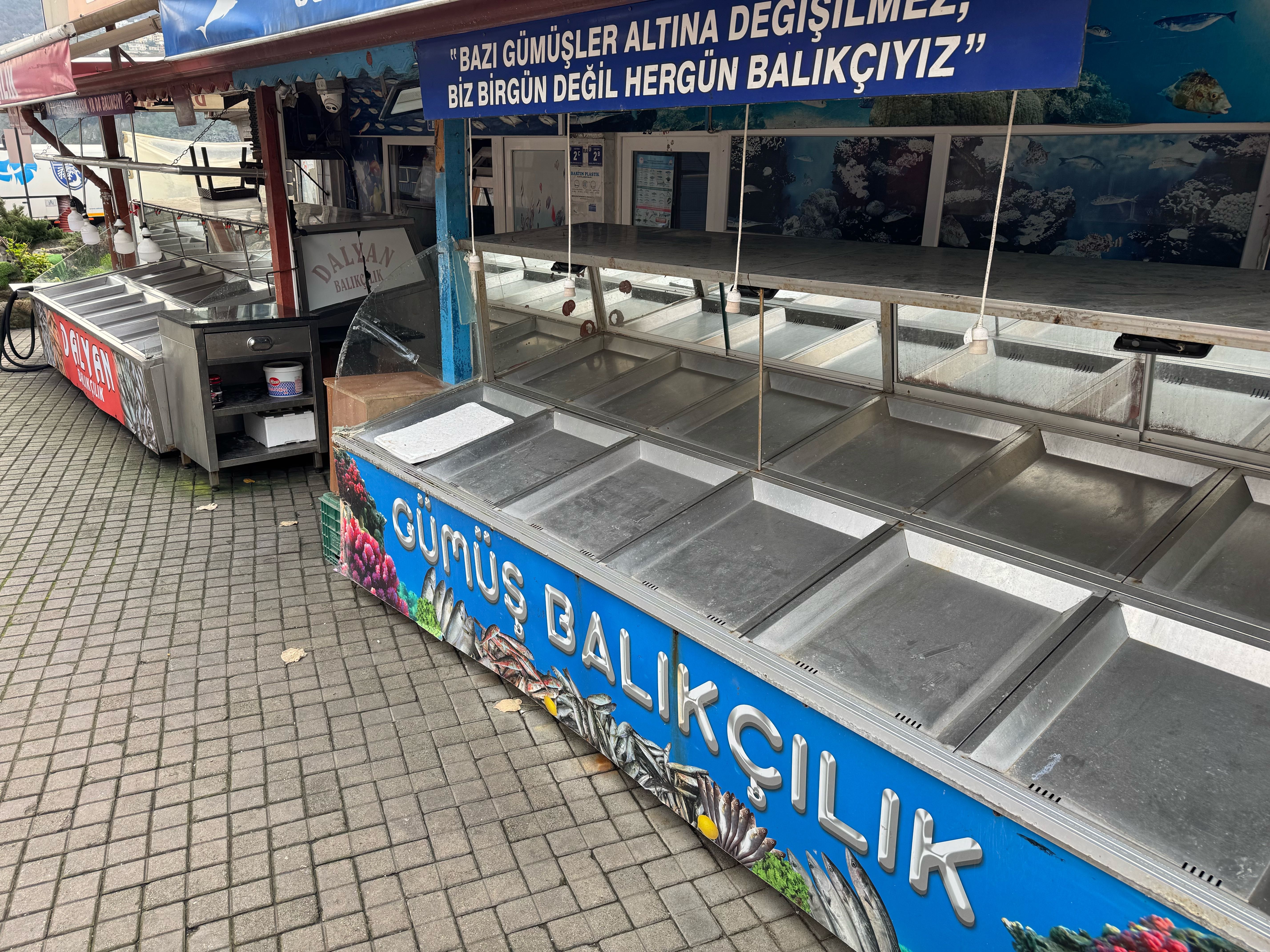 Palamut gelmedi, hamsi tutunamadı: Balıkçılar sezonu erken kapattı