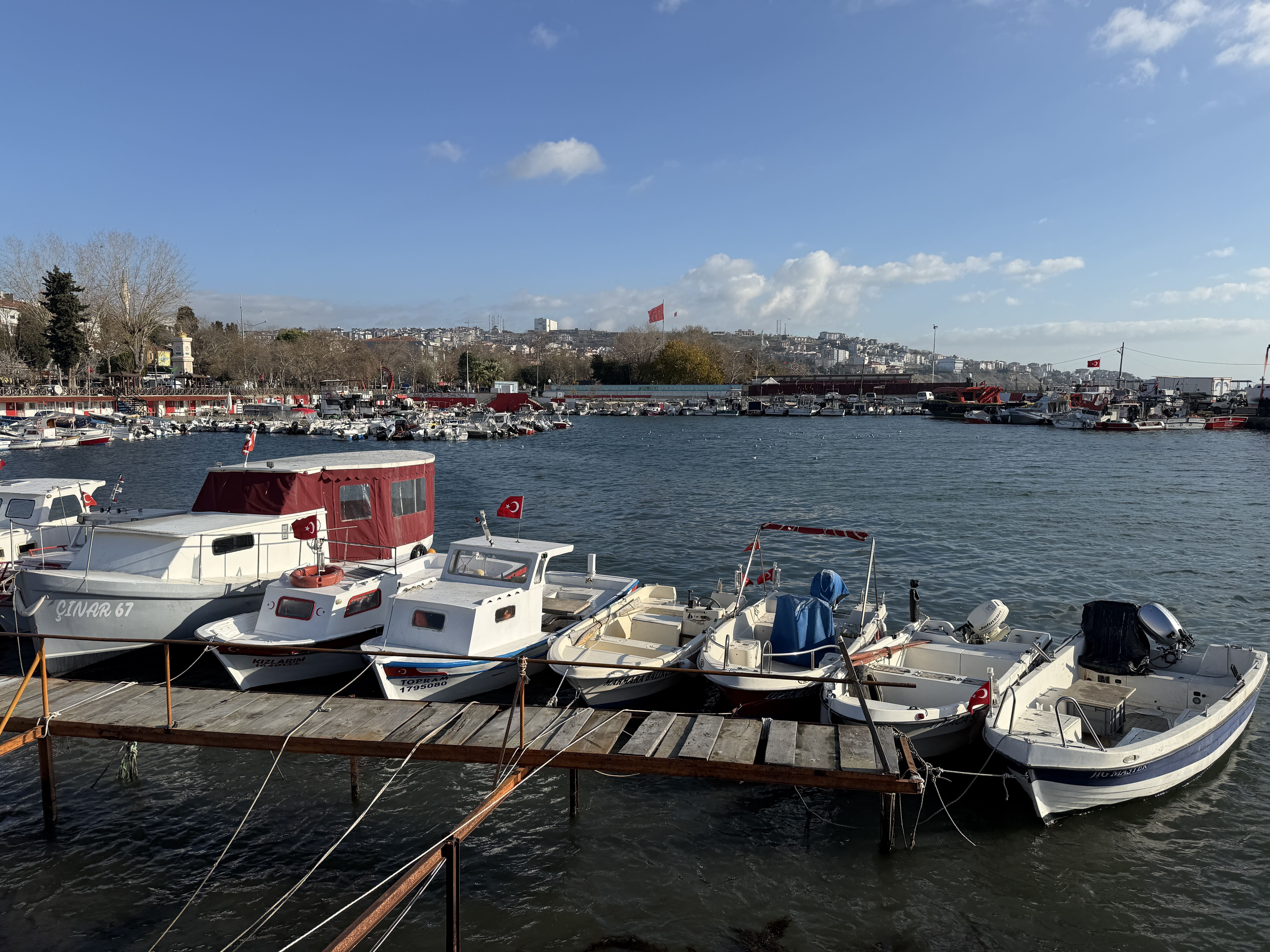 Tekirdağlı balıkçılar yeni yılda sardalya ve istavrit umuduyla ağ atacak