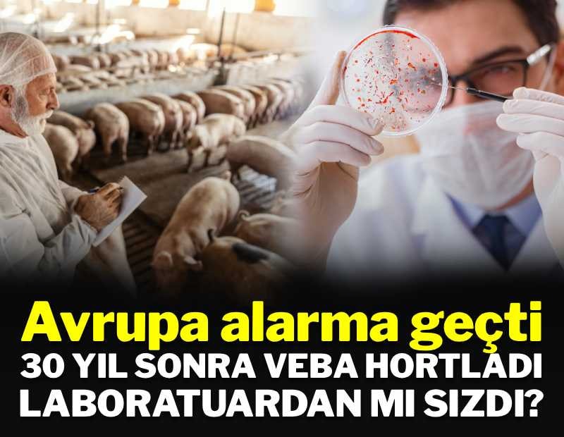 30 yıl sonra yeniden hortladı, Avrupa alarma geçti