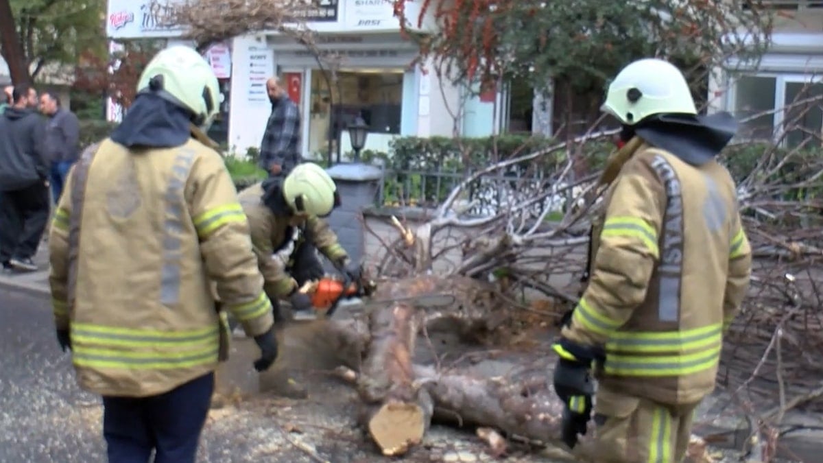 Kadıköy’de seyir halindeki cipin üzerine ağaç devrildi