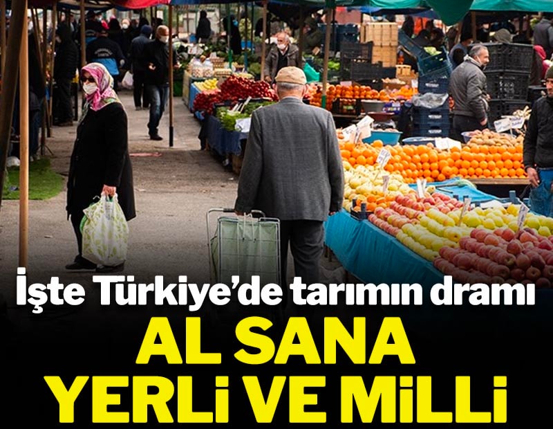 İşte Türkiye'de tarımın dramı! Al sana Yerli ve Milli