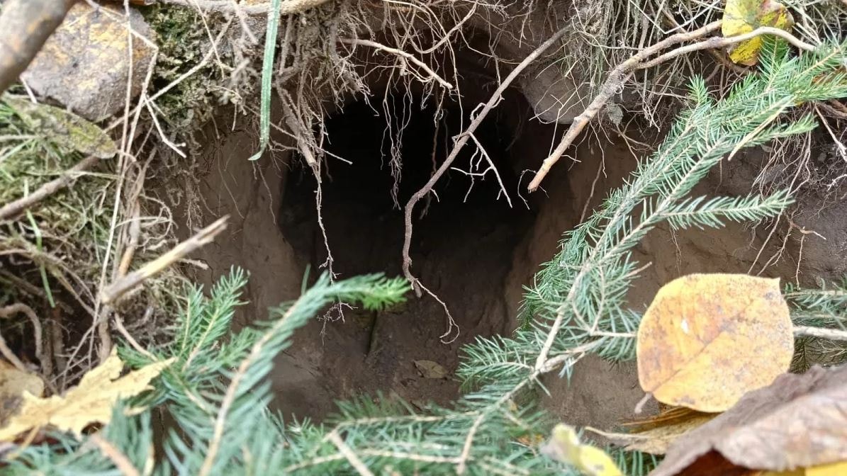İki ülke arasında 100 metrelik tüneller bulundu! Sınırları yer altından delmişler