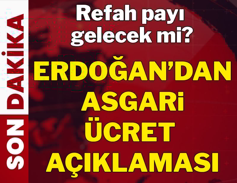 Erdoğan'dan uçak kazası açıklaması