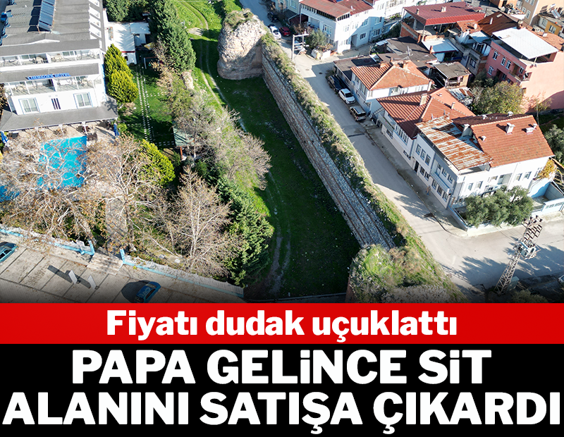 Papa gelince sit alanını satışa çıkardı! Fiyatı dudak uçuklattı