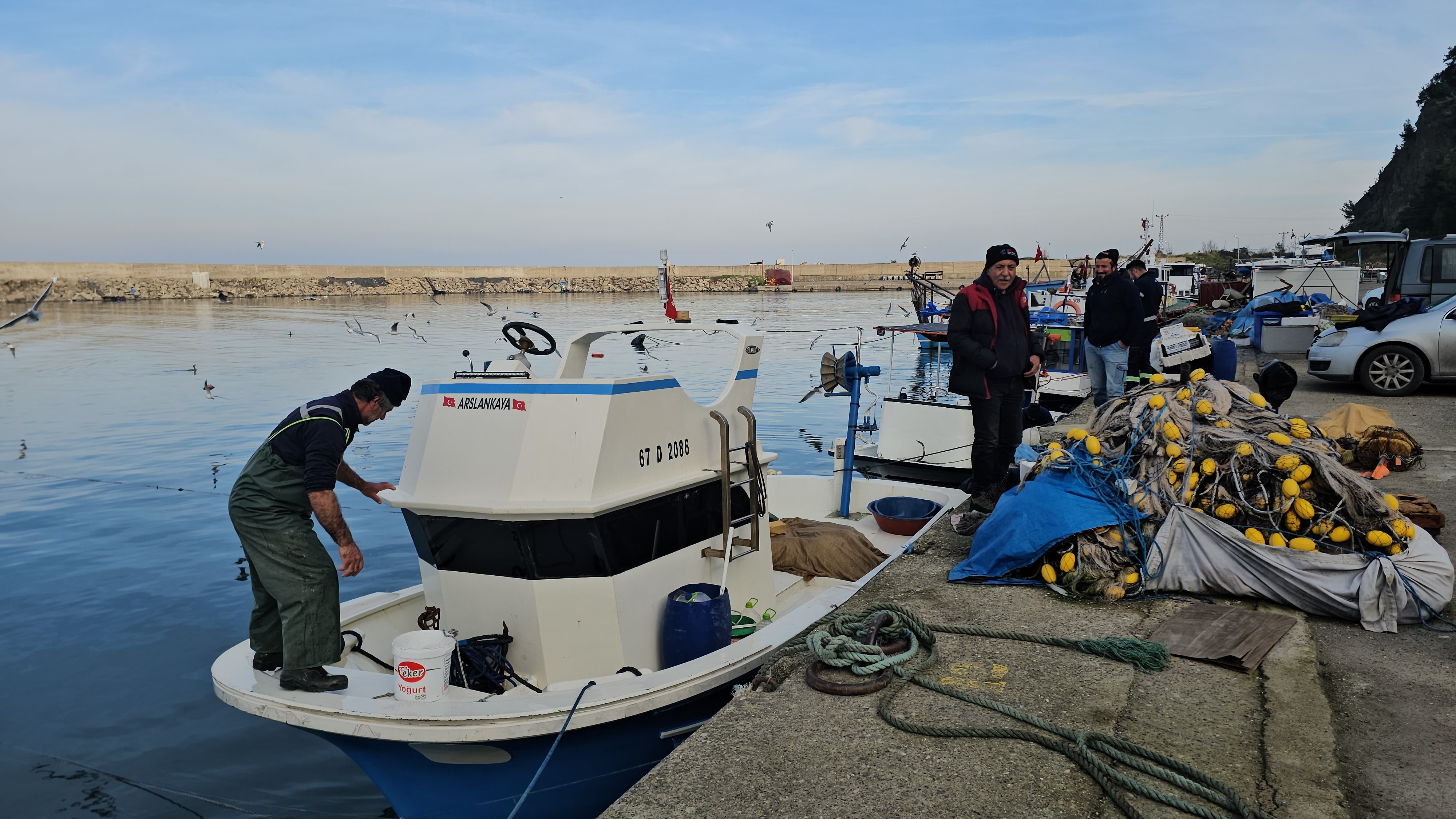 Palamut yok, istavrit kayıp: Bu sezon hamsi yalnız kaldı