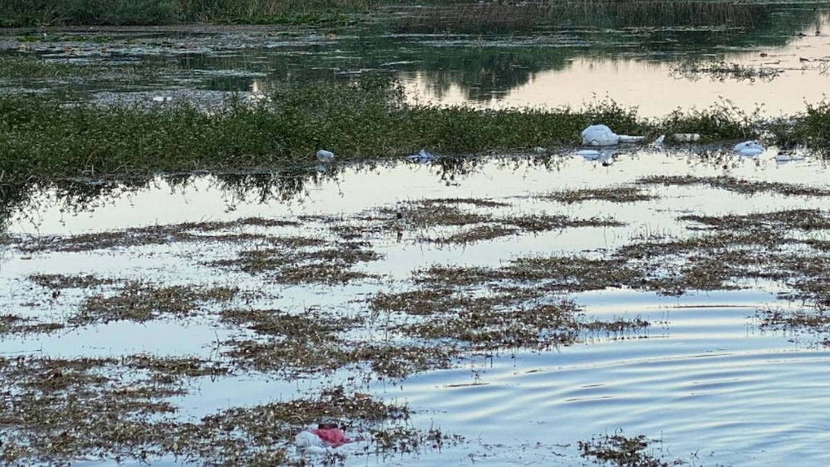 Bataklıkta 2 bin 300 yıllık hazine bulundu
