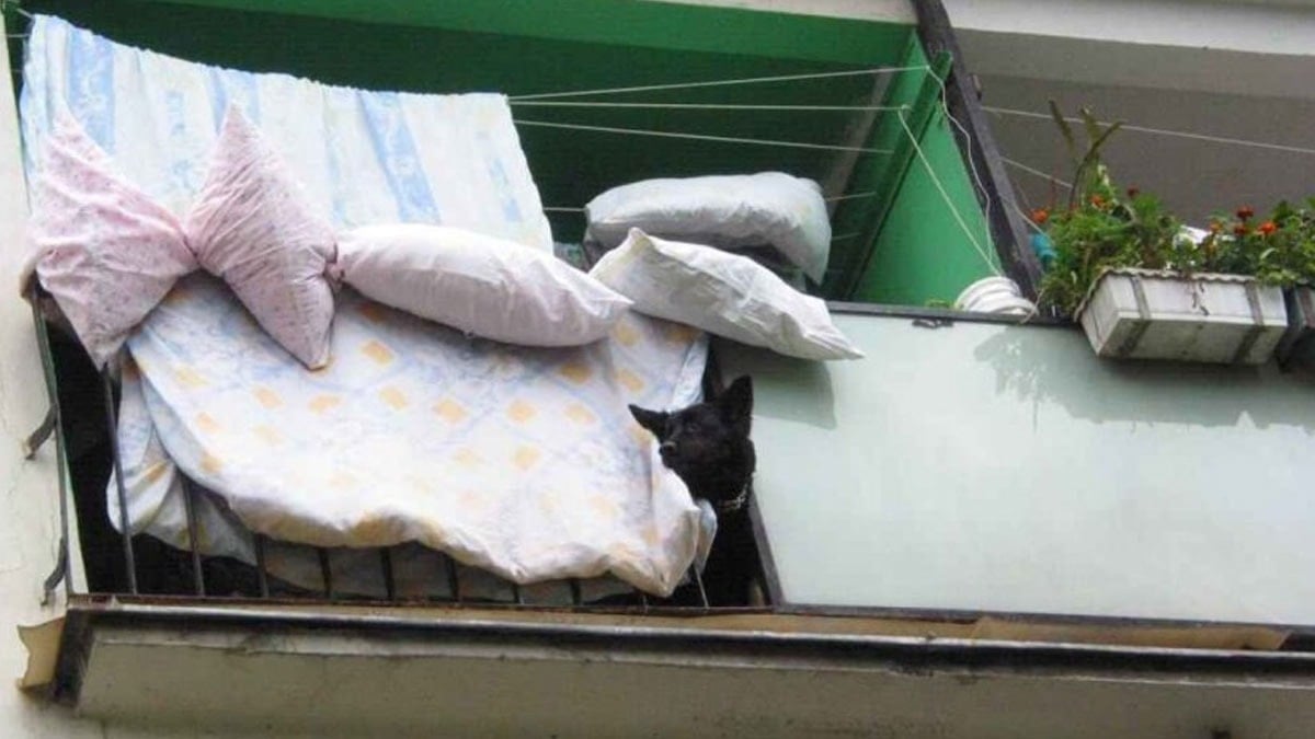 Halka yastık ve yorganları dışarı çıkarma çağrısı