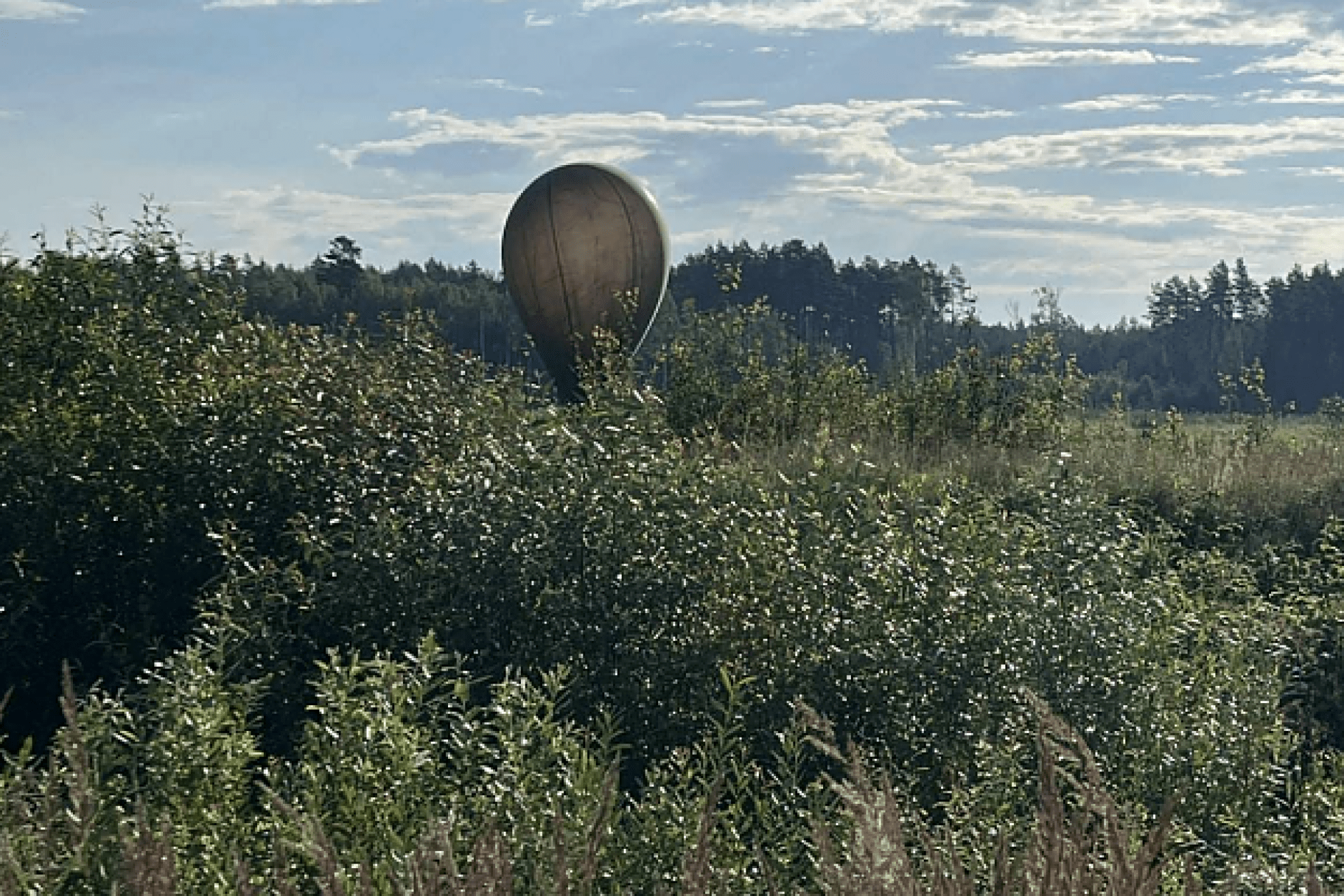 Avrupa ülkesinde OHAL ilan edildi: Sebebi bu balonlar