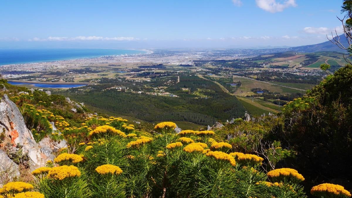 Dünyanın en vahşi yeri için harekete geçildi