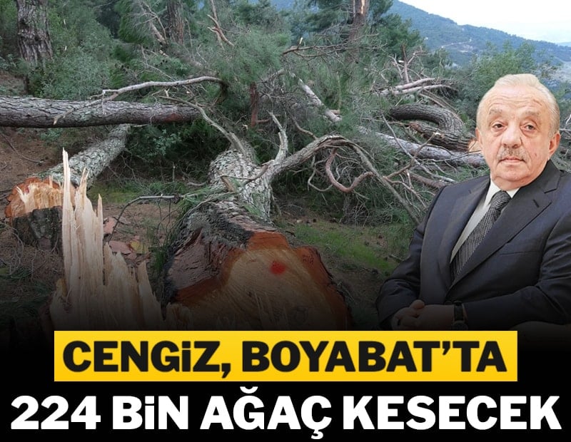 Cengiz, çevre katliamlarına devam edecek