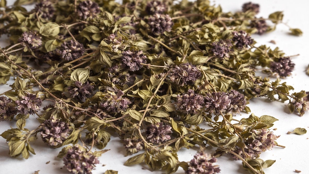 Bu çiçeğin sadece 35 gramını kaçırdı: 557.000 ceza aldı 