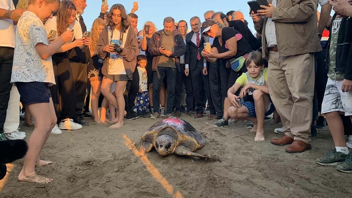 Caretta caretta 'Cumhuriyet'i binlerce kişi izledi