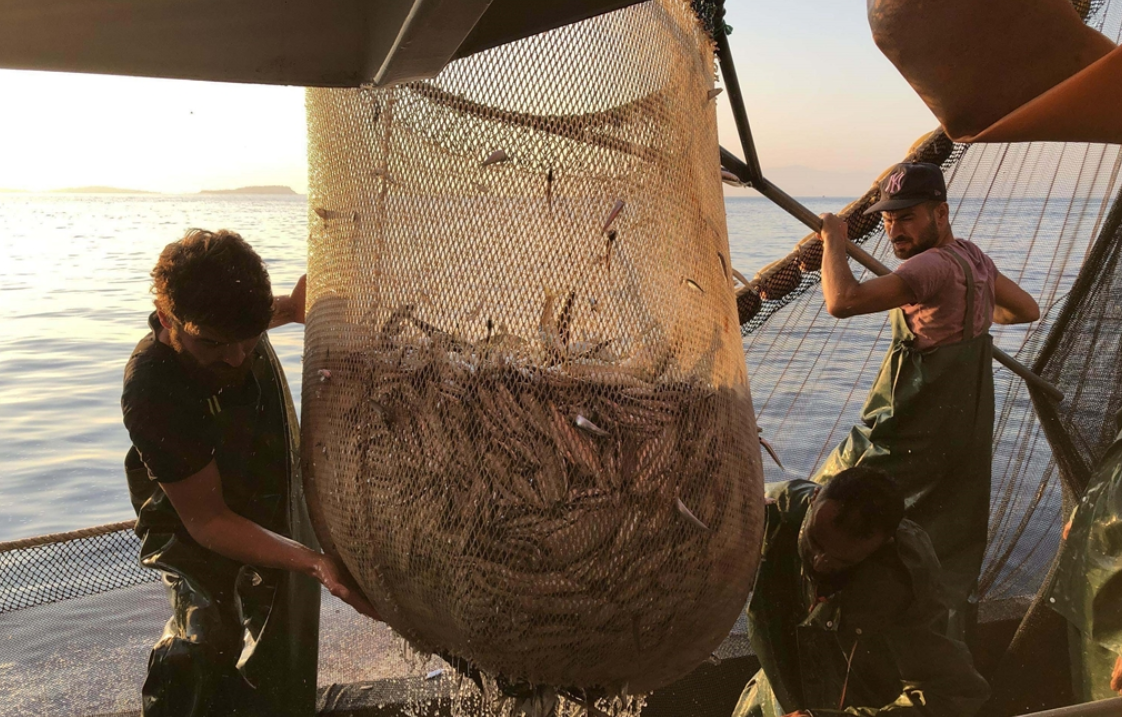 Hamsi Karadeniz’i terk etti: Tezgâhlarda fiyatlar uçuşa geçti
