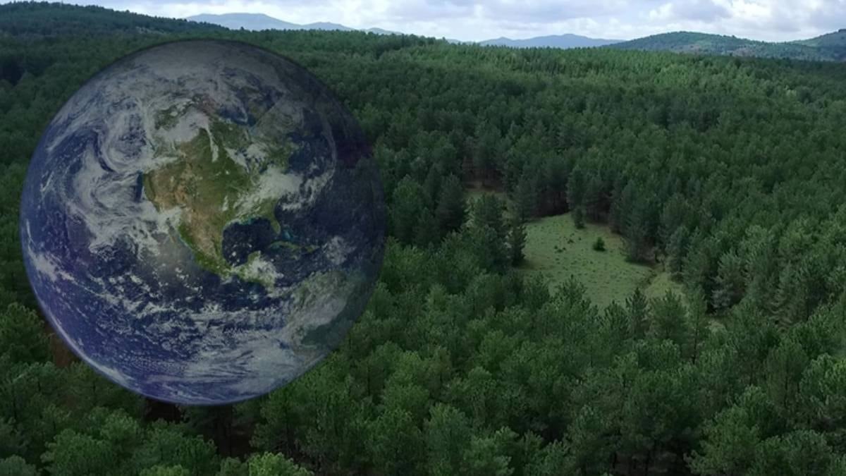 Dünyanın en yaşlı canlısı: Tam 191 yaşında