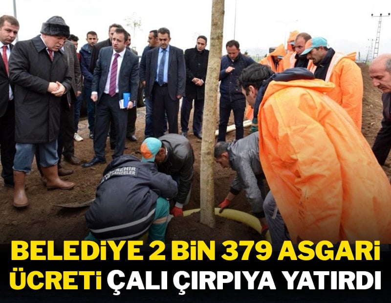 Belediye 2 bin 379 asgari ücreti çalı çırpıya yatırdı