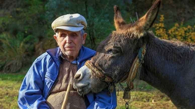 Görme engelli Raif Kurt&#x27;un pusulası &#x27;Magare&#x27;