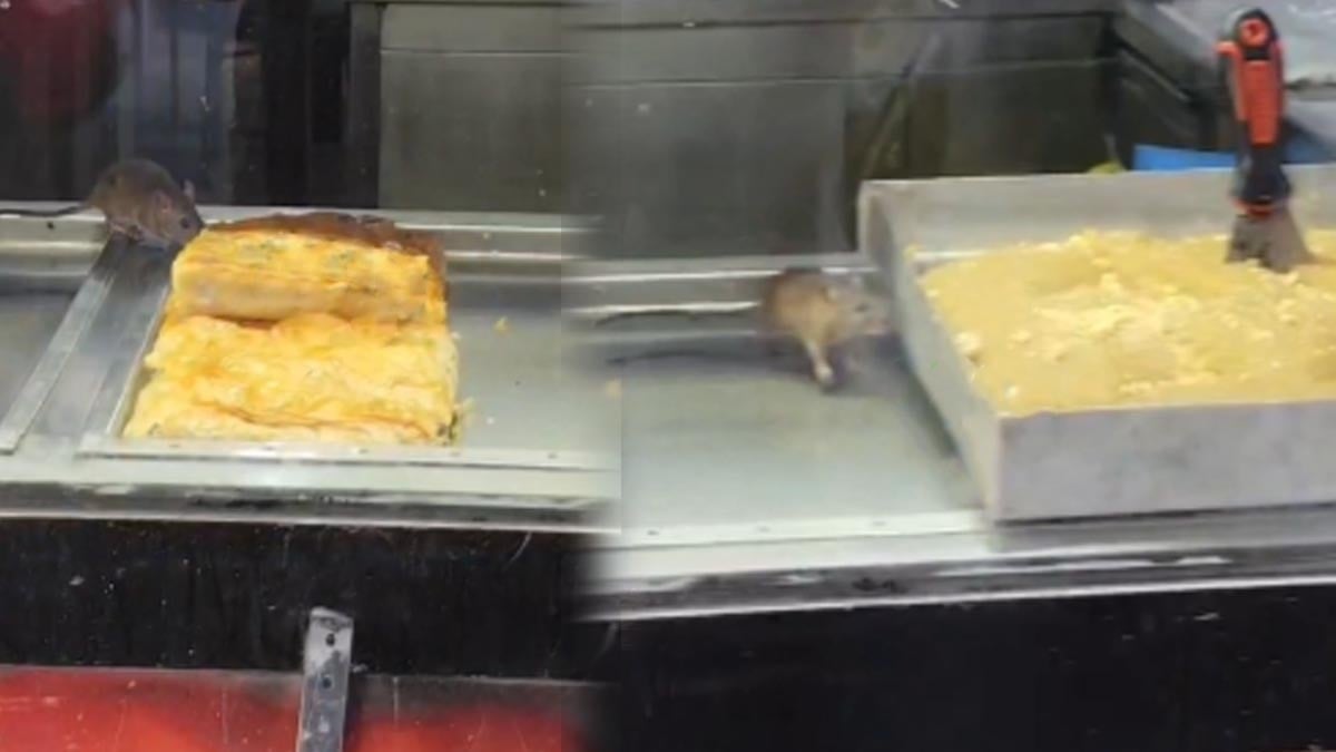 Görenler gözlerine inanamadı! Börekçi vitrininde fare geziyor