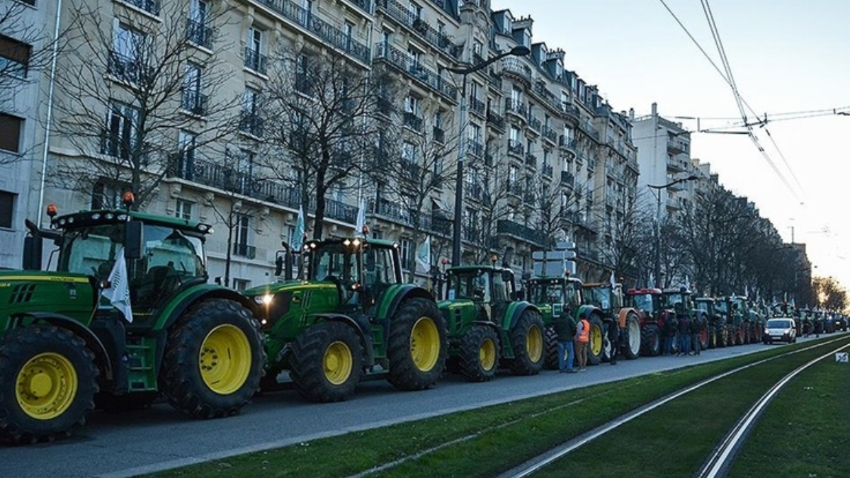 200 tanesi uyutuldu ülke ayağa kalktı