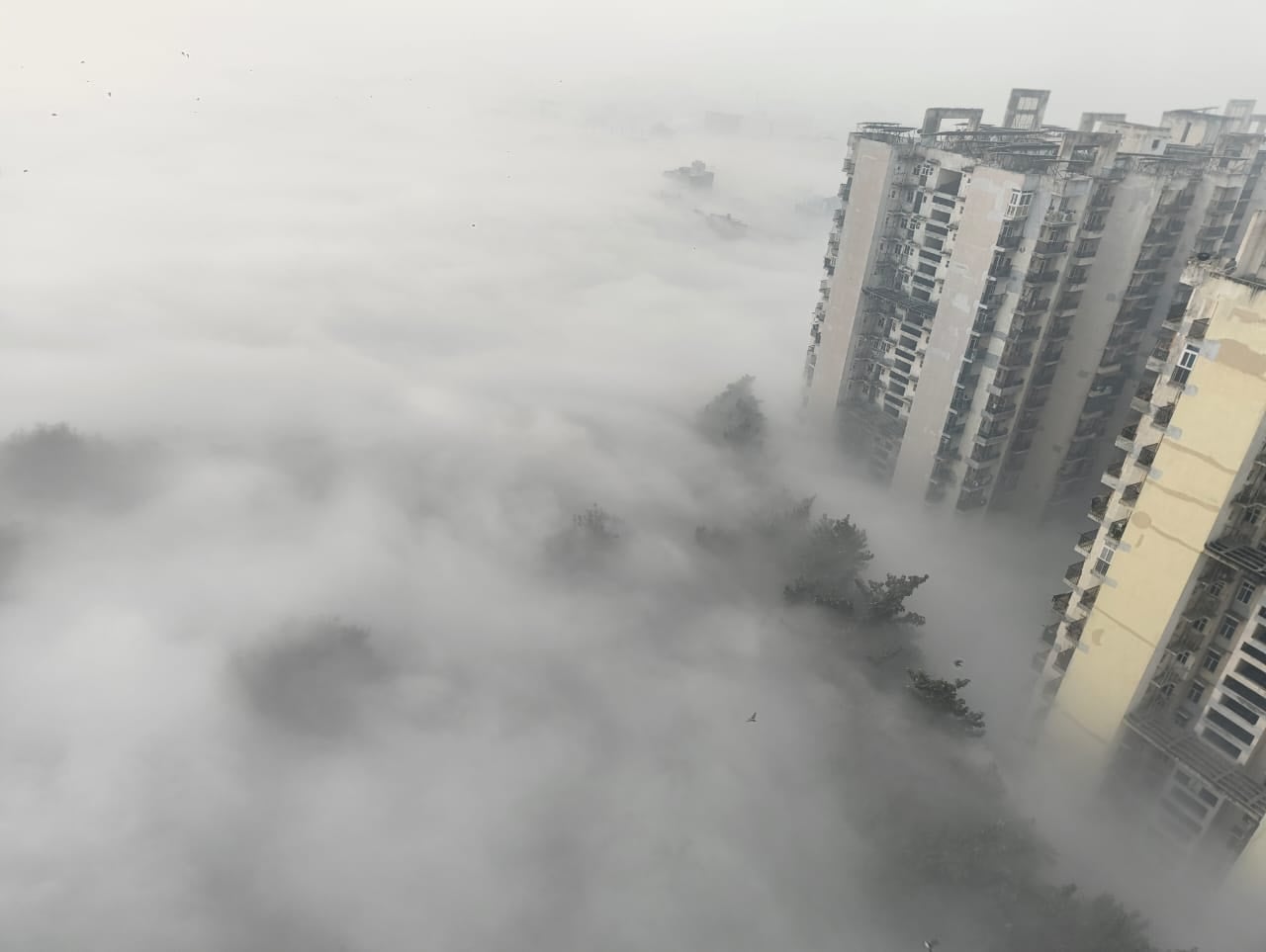 Ülkenin başkentini zehir bulutu kapladı: Okullar kapatıldı, inşaatlar durduruldu