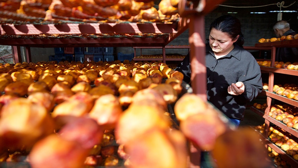 Köydeki evlerini tamamen boşaltıp bu işe başladılar: Siparişlere yetişemiyor