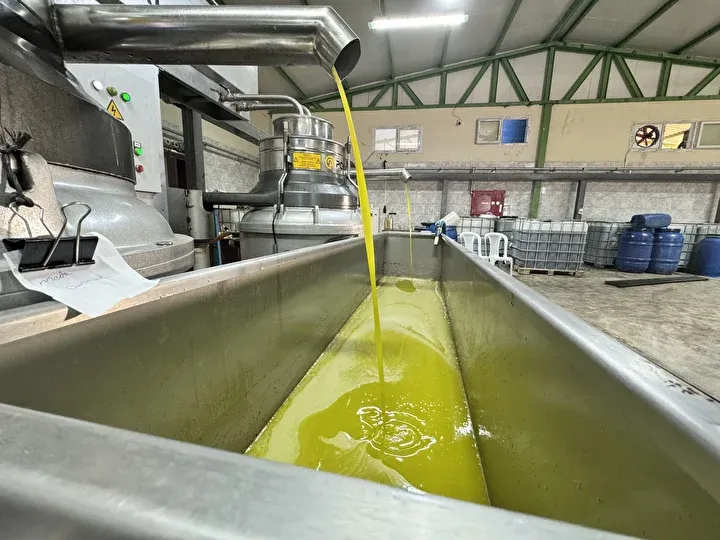 Yaşadığı şehre fabrika kurup tüm mahalleyi işe aldı, Suudi Arabistan&#x27;a bile ihraç ediyor