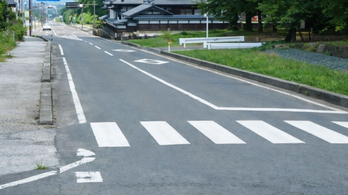 Kaldırımda bile yetişen bu bitki meğer 'süper meyveymiş': Amerika'da çiğ çiğ yiyorlar