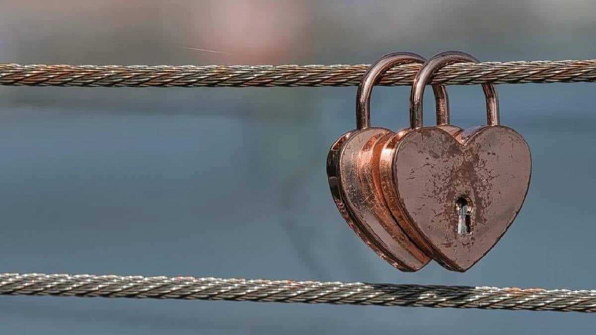 Ömür boyu tek eşli yaşayan hayvanlar: Bilim yeni hayvanları açıkladı