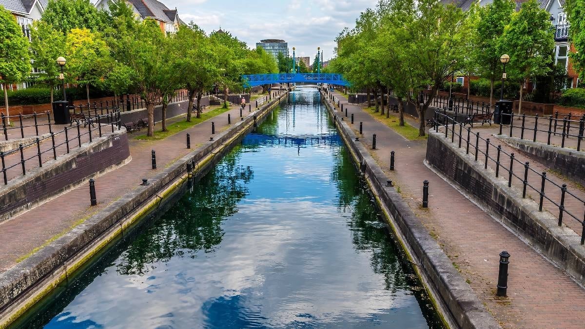 Herkes kütük sanıyordu ama canlı çıktı: Suda gören donup kaldı