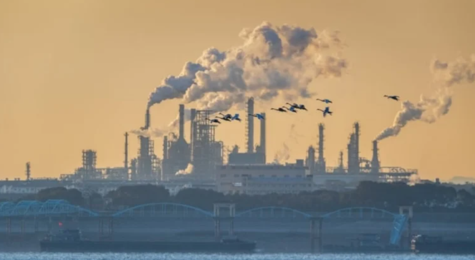 Karbon emisyonunda yeni adım