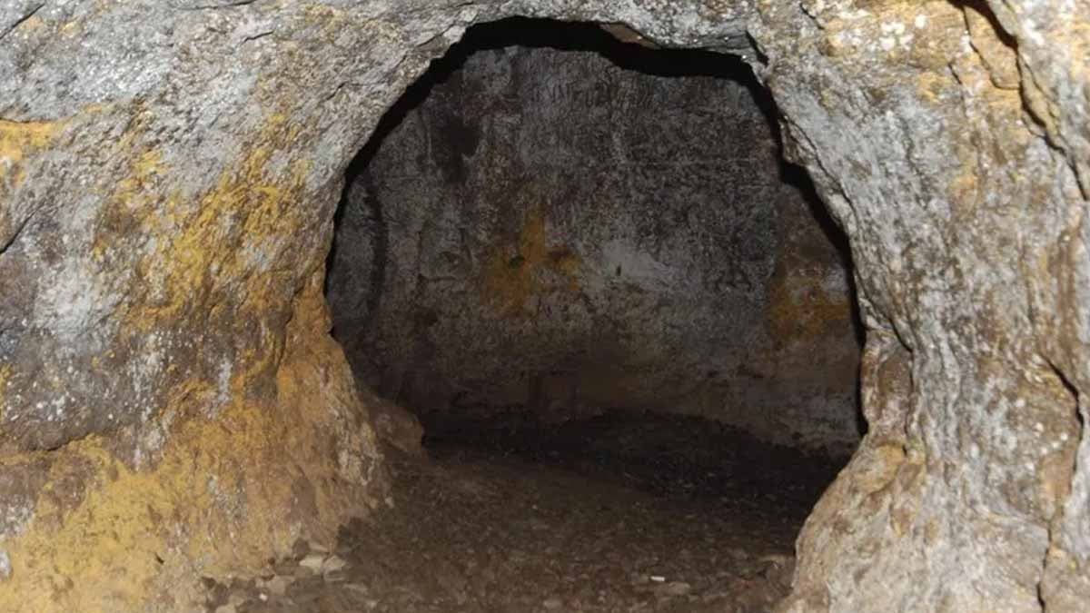 Dev yer tembel hayvanları tarafından kazılan tüneller bulundu 