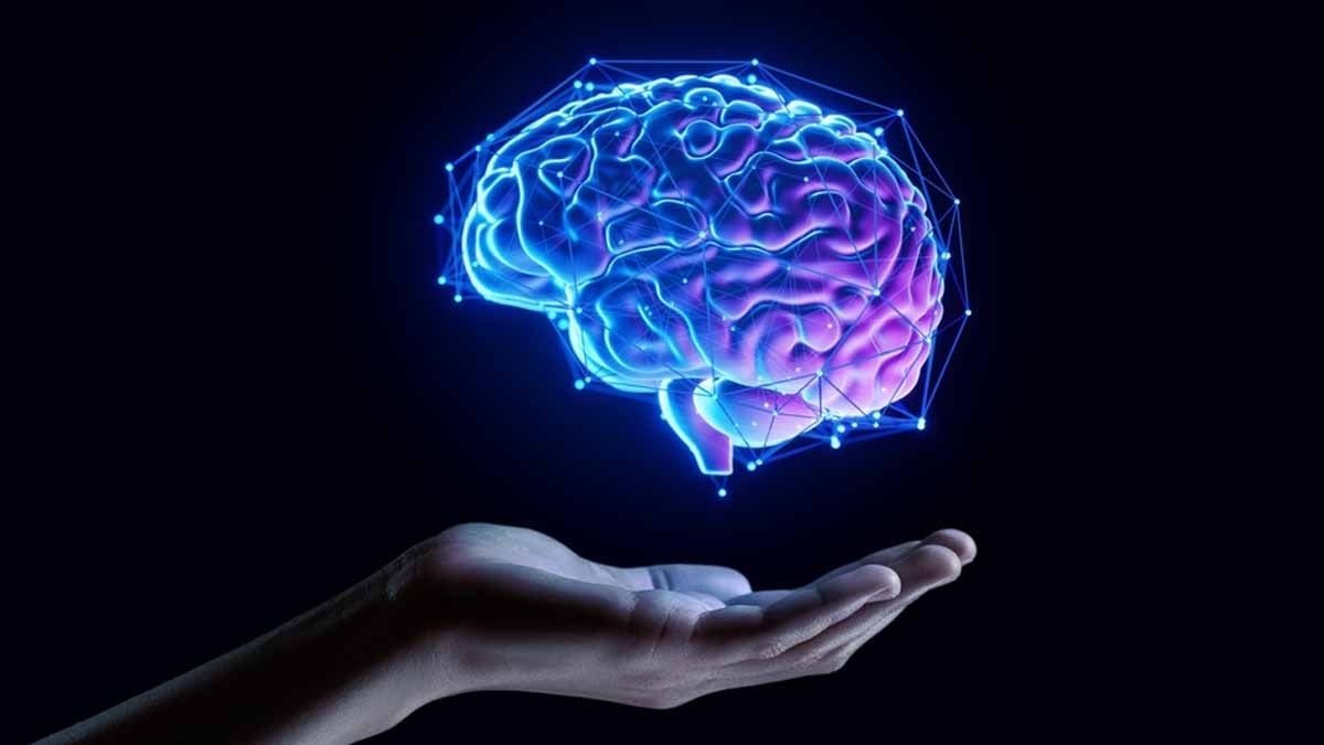 Beynimiz kendini 4 kez yenileniyor ve bunu 4 ayrı yaşta yapıyor! İşte beynin yenilendiği yaşlar