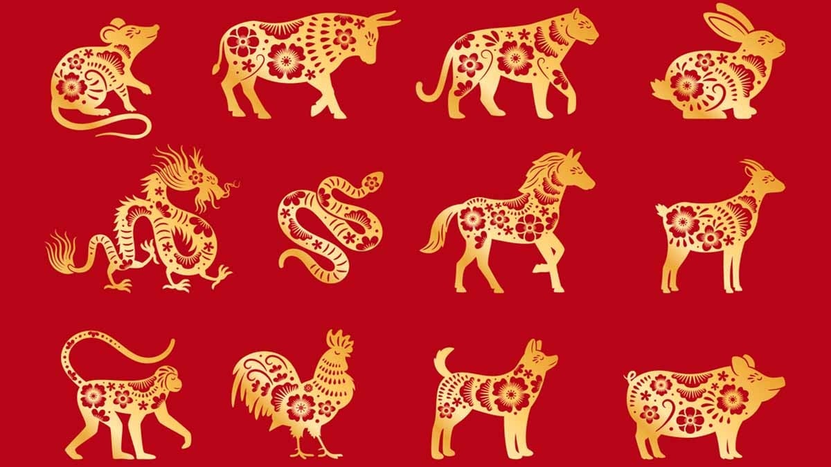 Çin astrolojisine göre 2026, At yılıdır! İşte bunun bizler için anlamı...