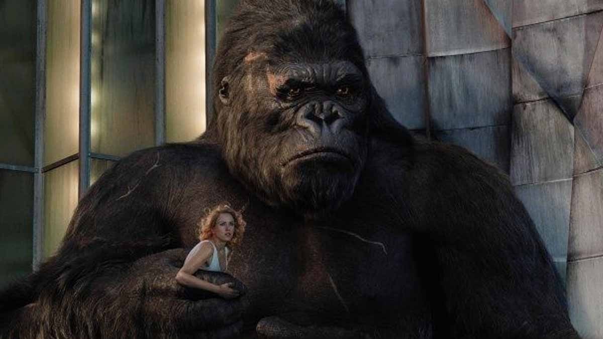 Boyu 3 metre, ağırlığı 250 kg... Dünyanın en büyük maymunu, ortadan kaybolmadan önce çok büyük bir gizem bıraktı