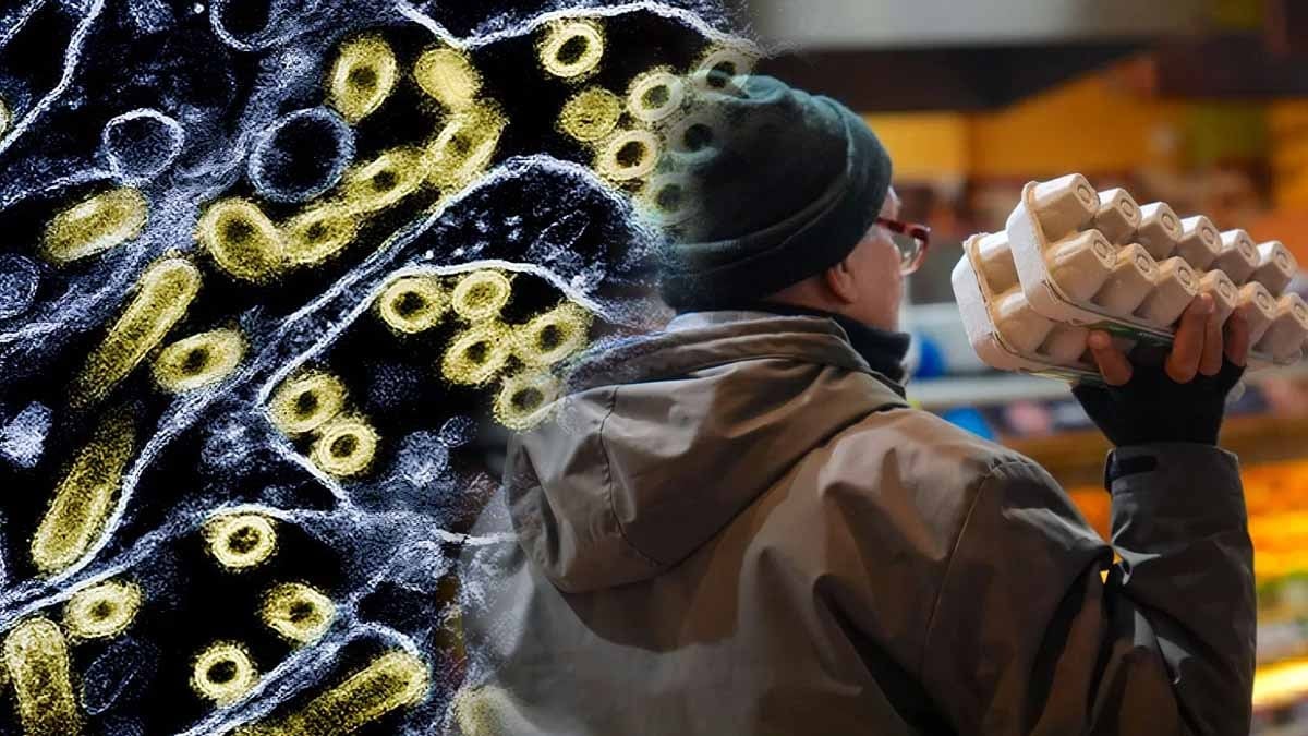 2026 yılına girerken tablo, beş yıl öncesinden çok daha karanlık! Sıradaki durak insanlar mı?