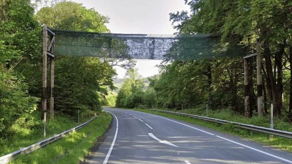 Sürücülerin 13 yıl boyunca öylece baktığı köprünün amacı yayalar değilmiş