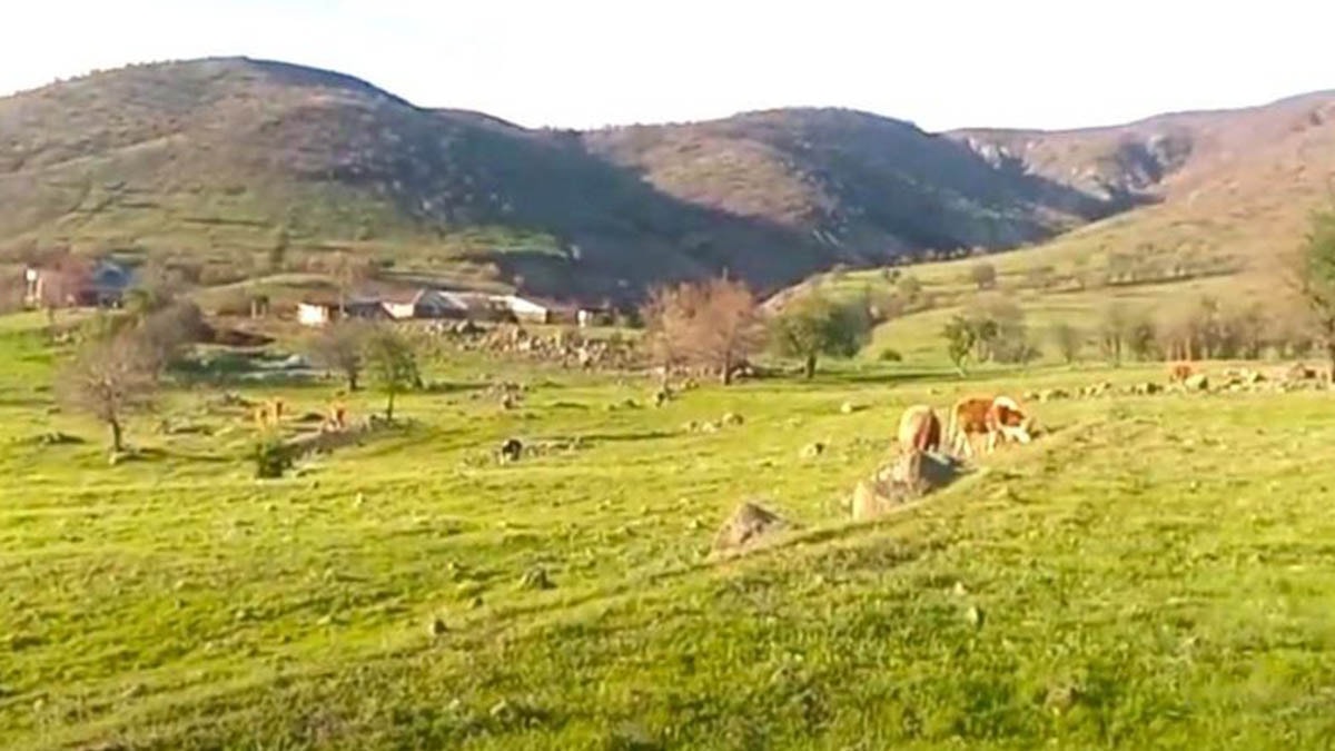 Köylünün kararlılığı madeni durdurdu