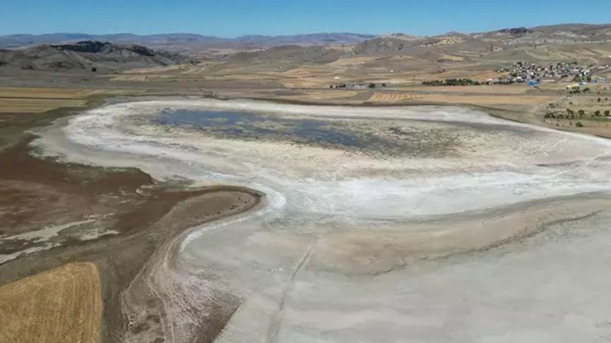 Kuşlar bile terk ettiği yer şimdi canlı akınına uğradı