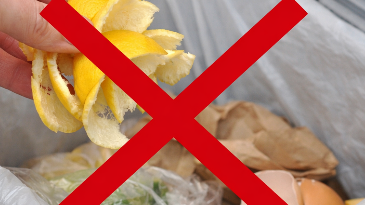 Limonu yedikten sonra kabuğunu sakın çöpe atmayın: İşte nedeni