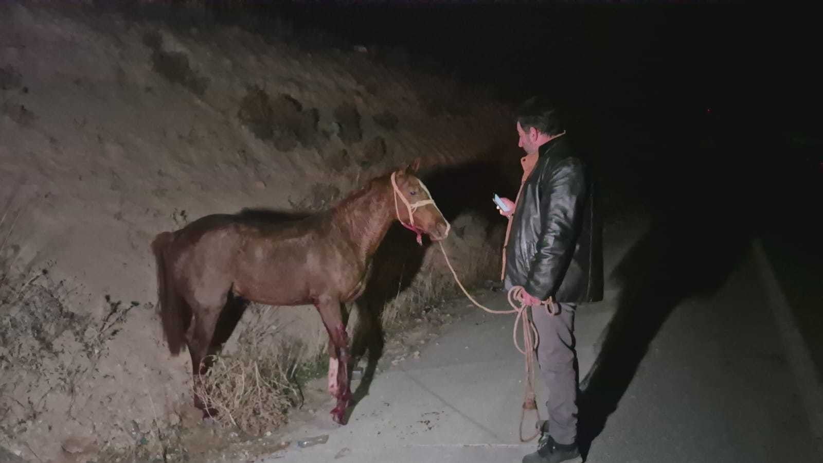 Milyonluk yarış tayları firarda