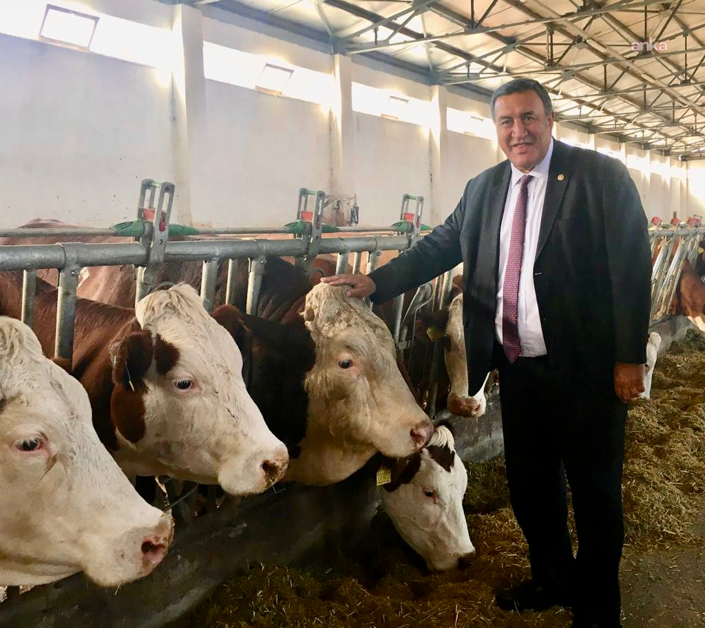 Gürer: Çiğ süt referans fiyatı üç ayda bir açıklanmalı ve güncellenmeli