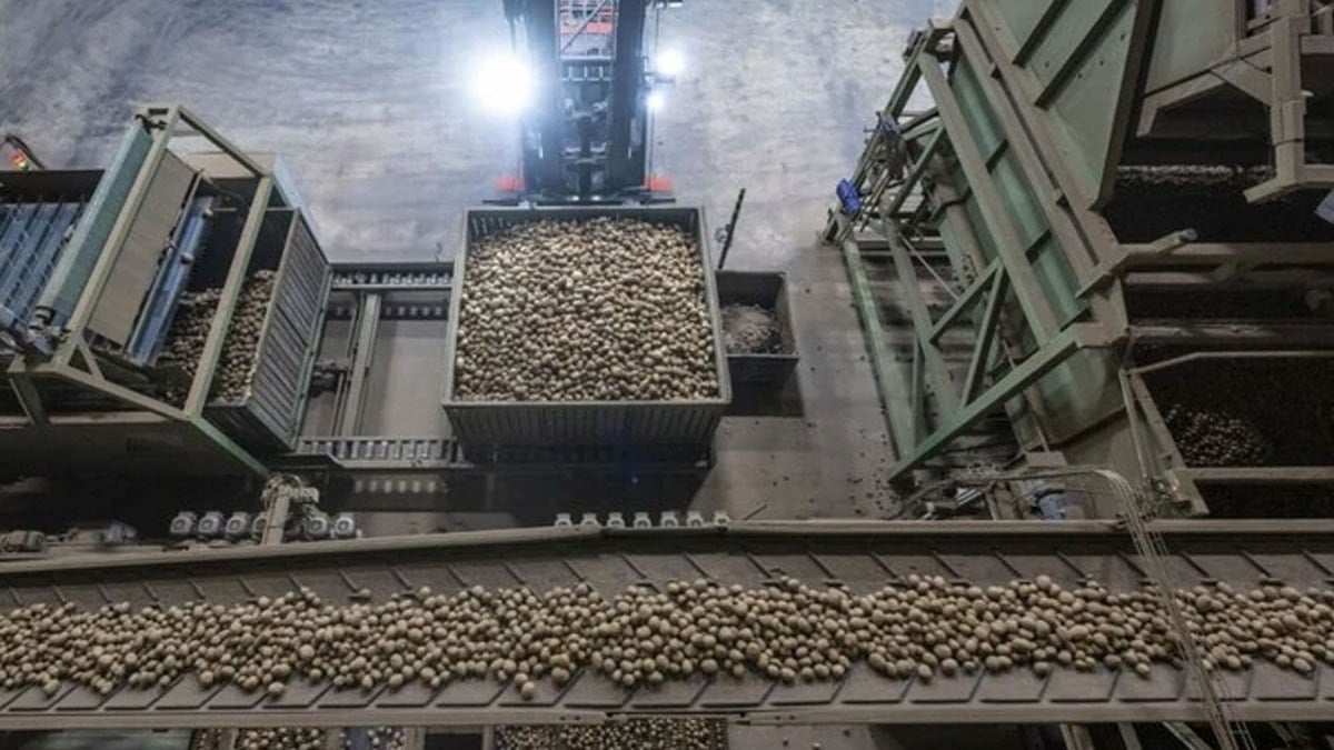 Son 25 yılın hasat rekoru krize sebep oldu