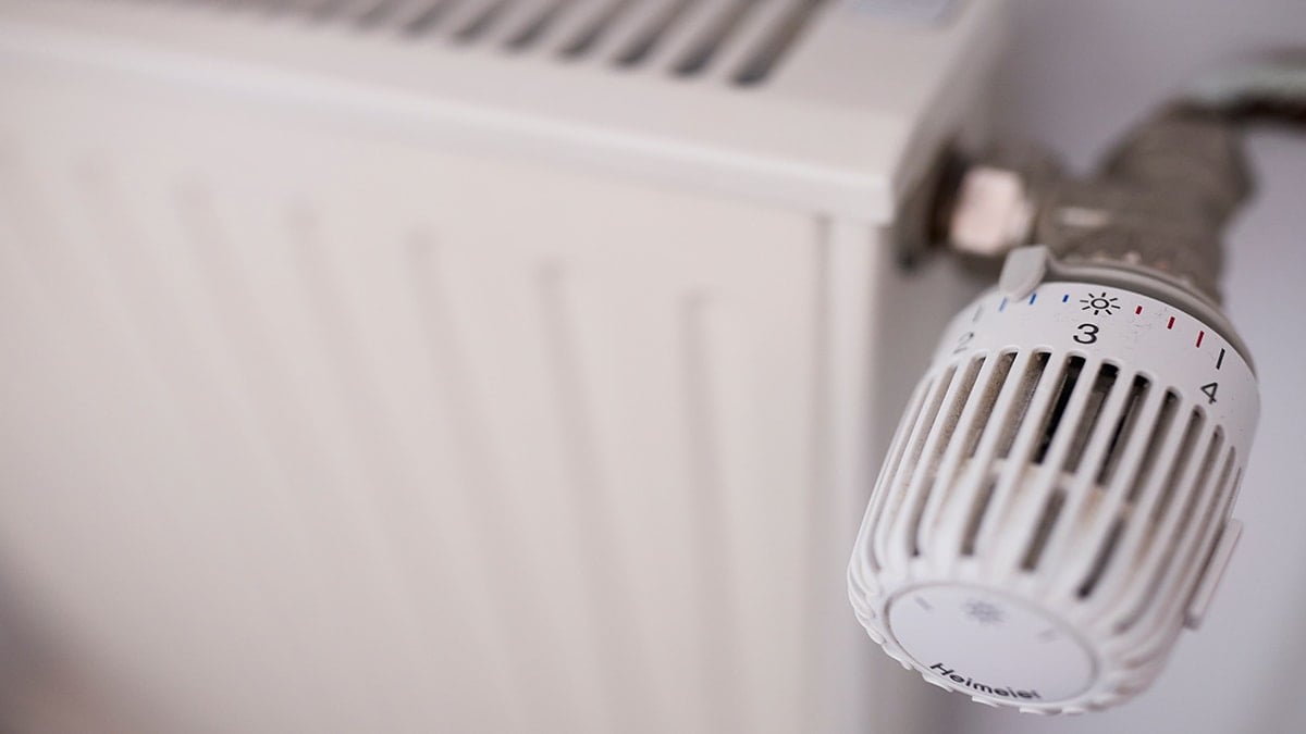 Petek vanasındaki rakamların gerçek anlamı ortaya çıktı