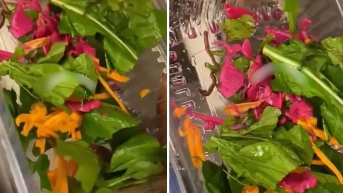 Pidecideki salata hareket edince hemen kameraya sarıldı: Gıda terörü uçuşa geçti