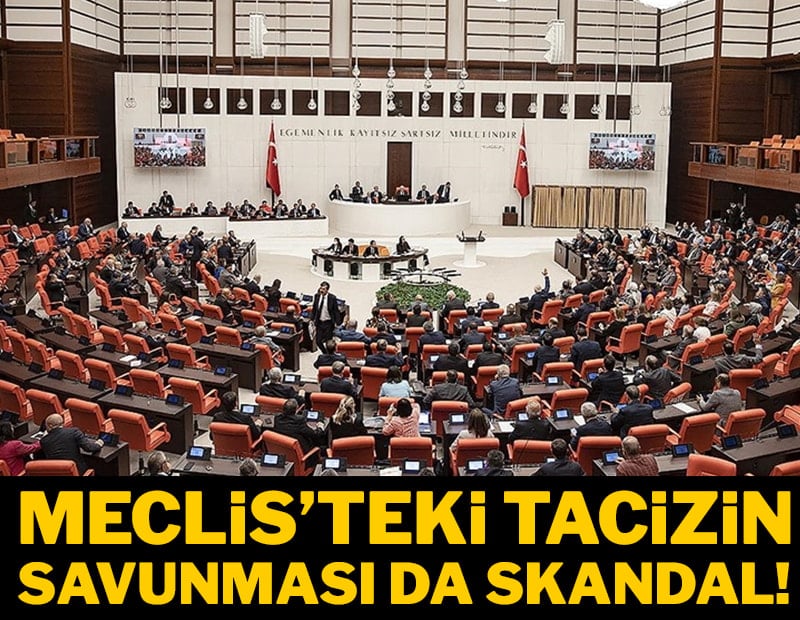 Meclis'teki tacizin savunması da skandal!