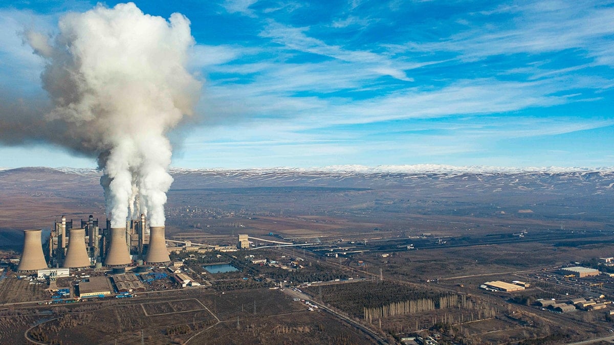 TEMA: Tehlike büyük, kaybedecek vaktimiz yok