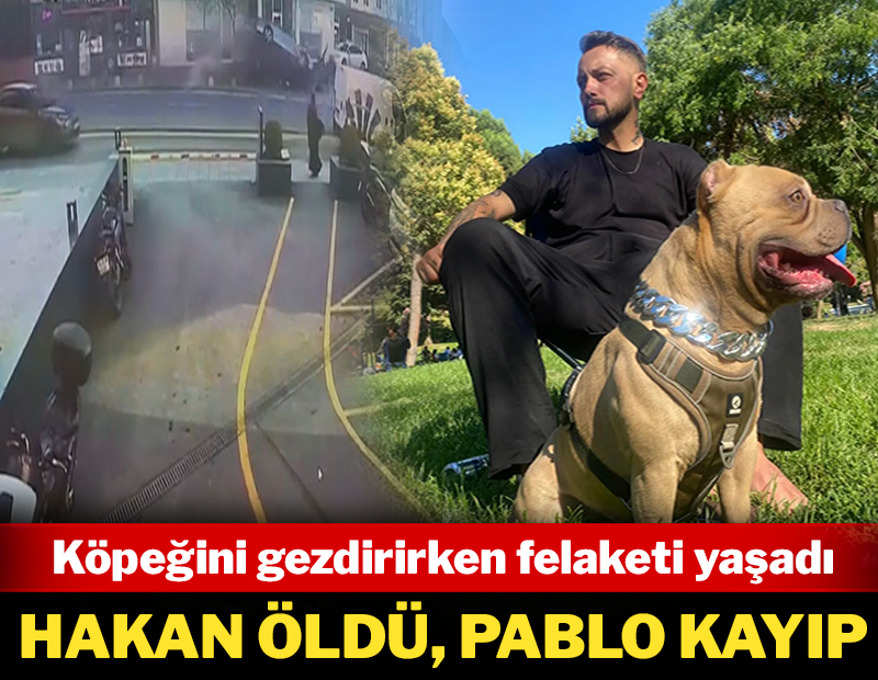 Köpeğini gezdirirken felaketi yaşadı: Hakan öldü Pablo kayıp!
