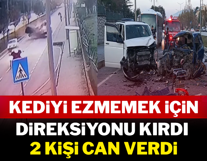 Kediyi ezmemek için direksiyonu kırdı: 2 kişi can verdi