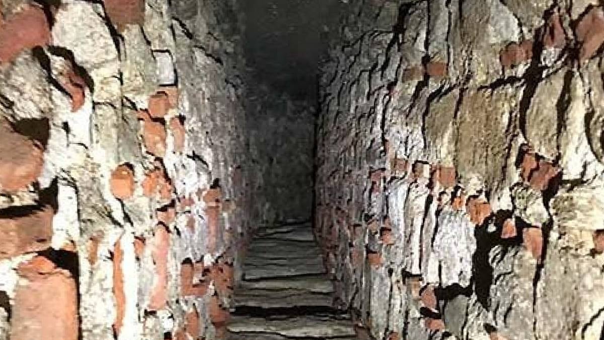 Kaya içerisinde gizemli tüneller: Bilinmeyen bir yaratık keşfedildi